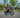 How to Choose the Right Speed and Power Setting for Your Electric Dirt Bike Ride